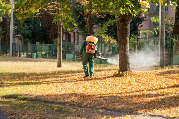 Best Pest Control Treatment  in Clarkesville, GA